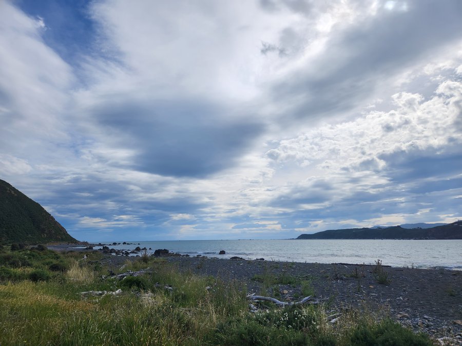 2023-12-02 Wellington harbour mouth from Pencarrow Coast Road (K Bosman)