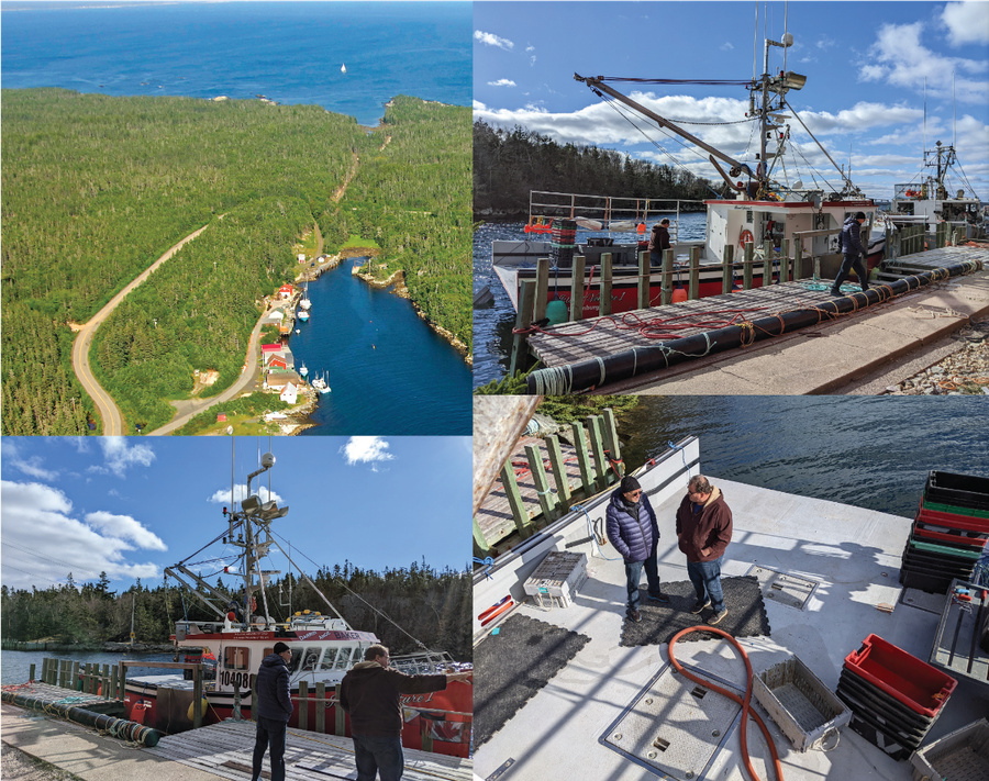 New Harbour collage