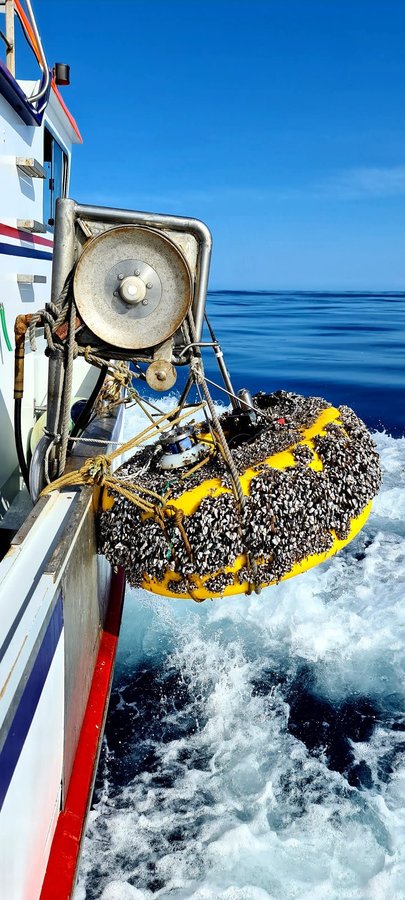 Recovered OBS AQU-0260 secured on the side of the fishing vessel Pérola da Horta